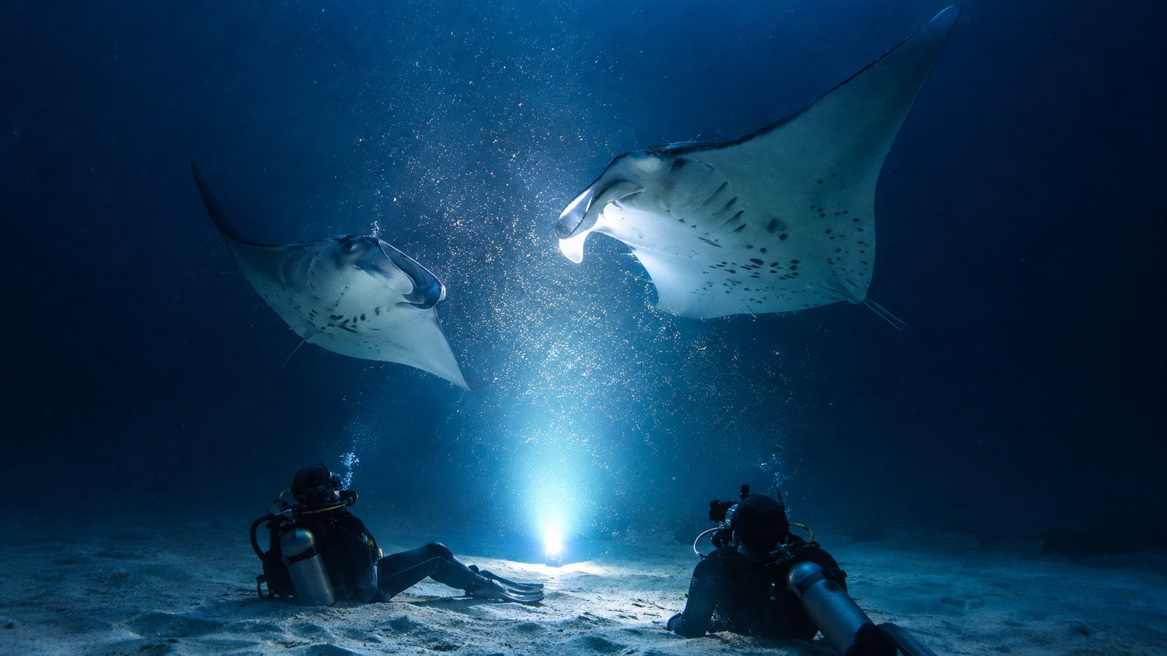 Two scuba divers sitting on the sandy ocean floor watching two majestic manta rays swim overhead