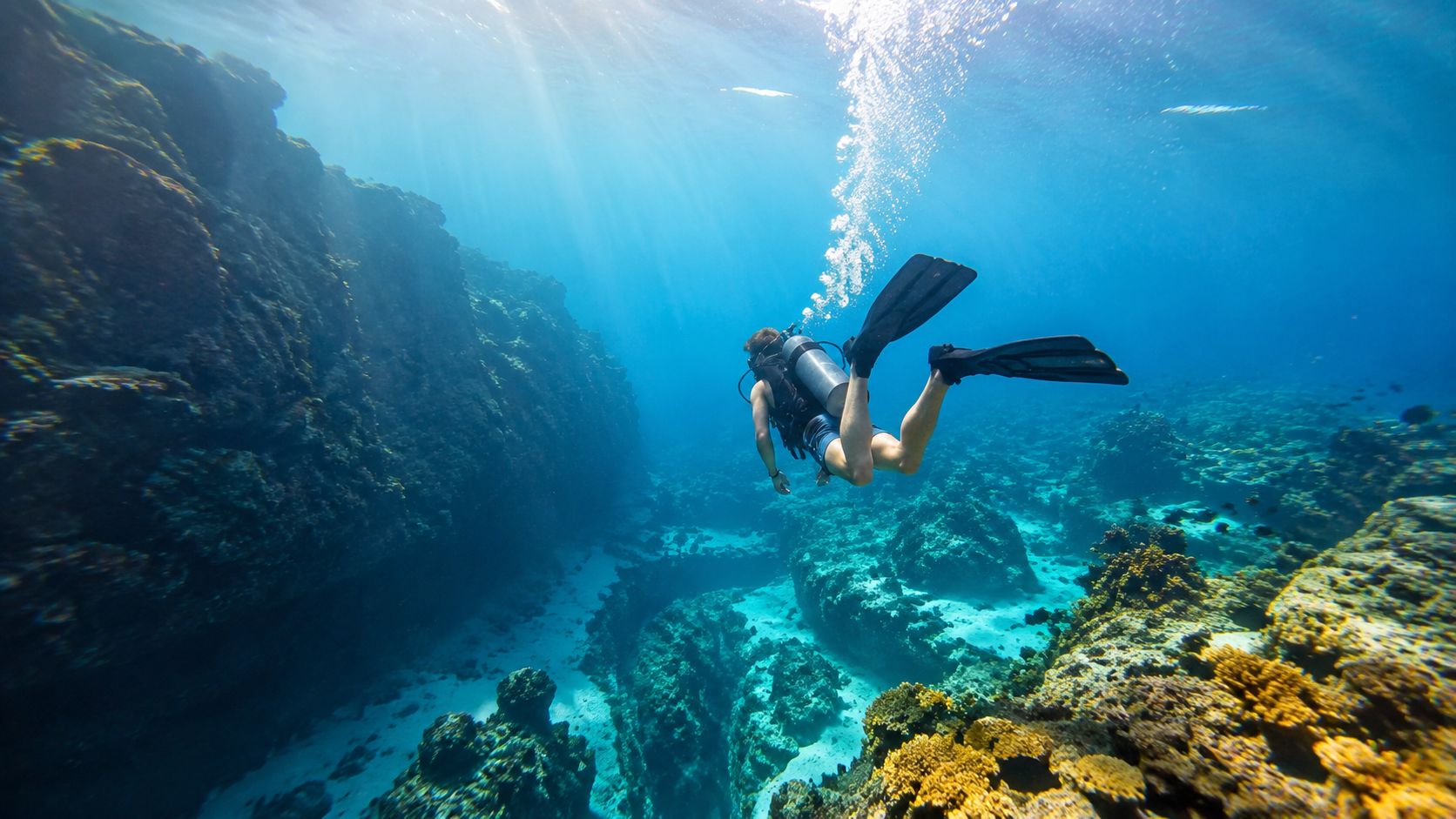 A scuba diver explores a deep underwater volcanic fissure near a coral reef in the ocean.