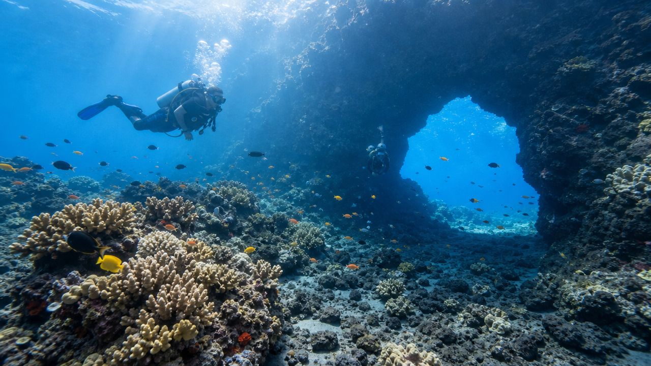 Scuba divers exploring an underwater lava tube archway surrounded by colorful tropical fish and vibrant coral reefs.