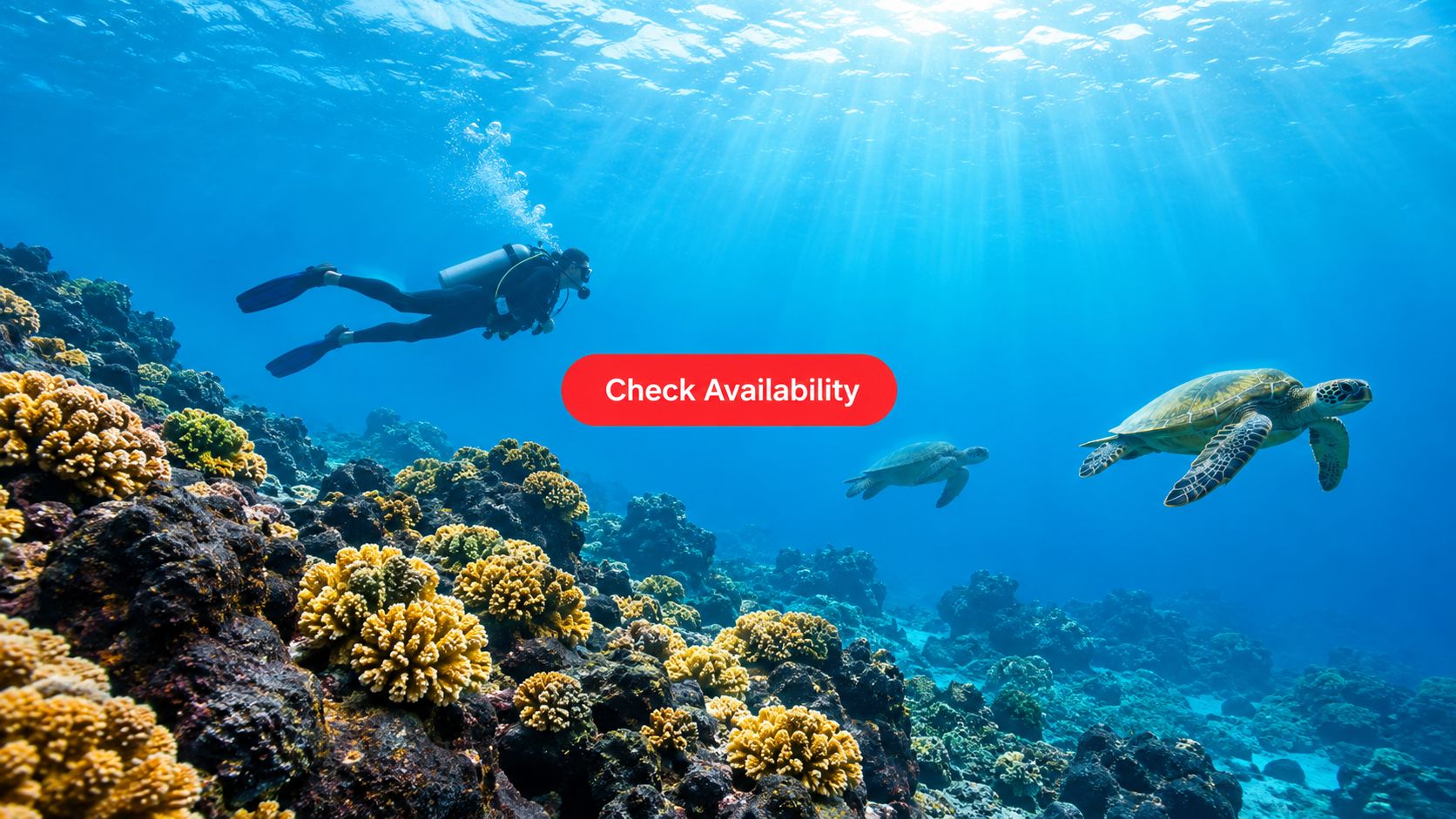 A scuba diver swims near colorful coral reefs alongside two sea turtles in clear blue ocean water.