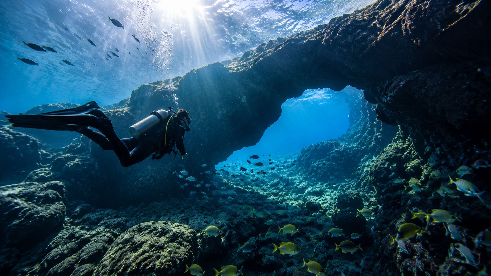 A scuba diver explores a stunning underwater rock archway surrounded by tropical fish in clear blue water.