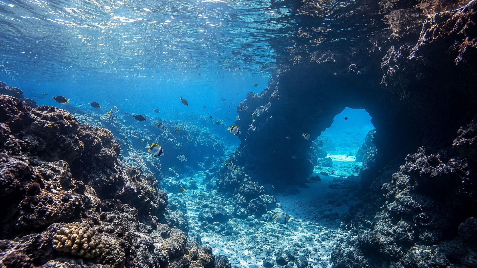 A vibrant underwater scene featuring a coral archway, rocky reefs, and tropical fish swimming in Hawaii.