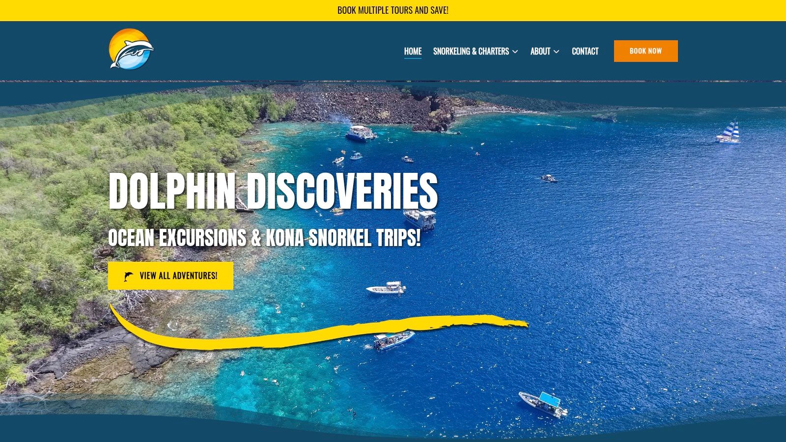 Dolphin Discoveries
