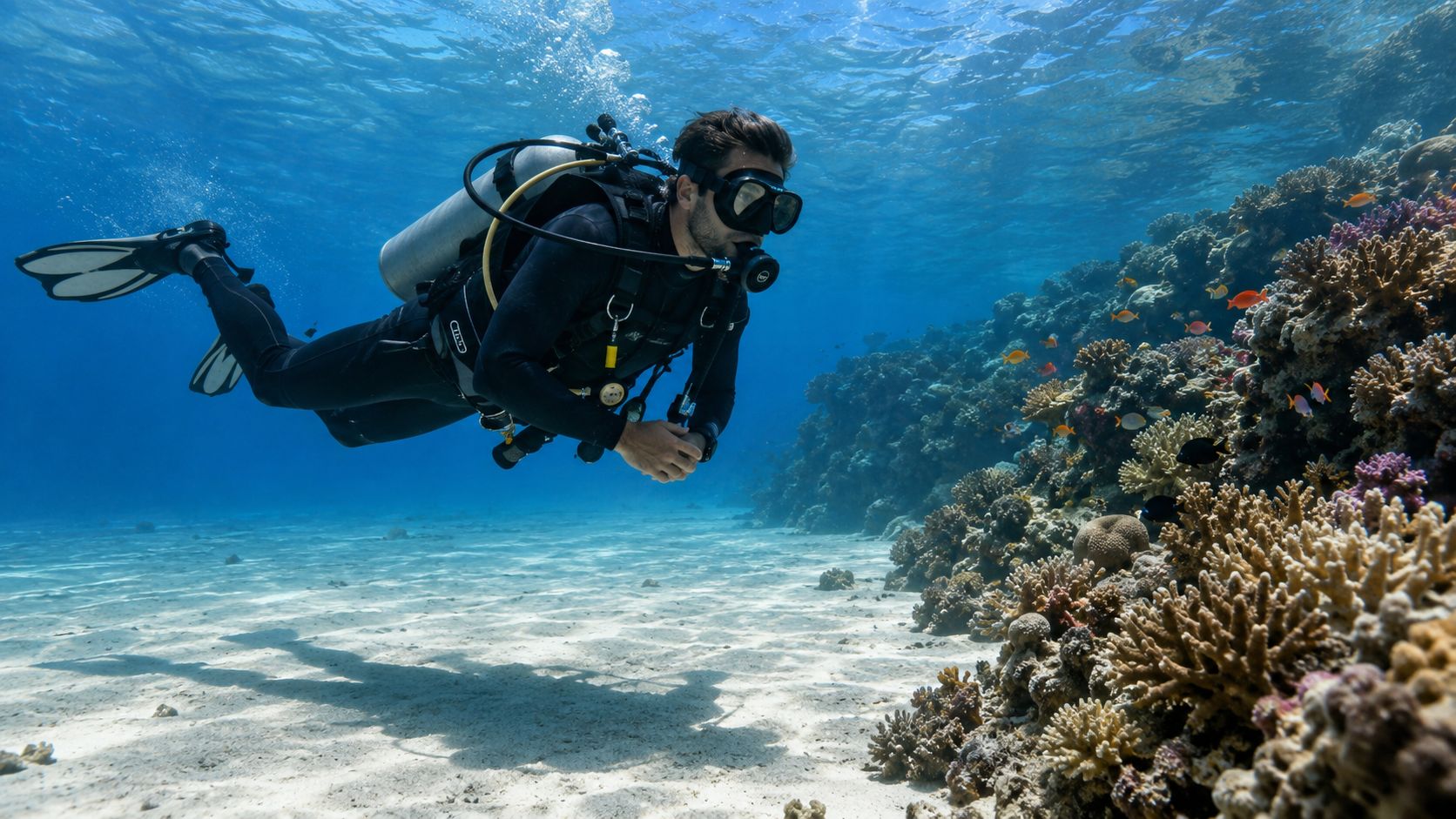 A scuba diver explores a vibrant coral reef in clear blue tropical waters on the Big Island.
