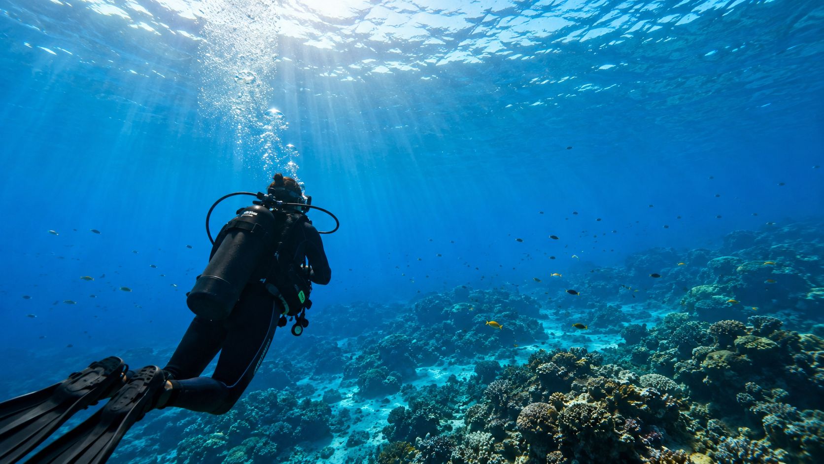 A scuba diver explores a vibrant coral reef in clear blue tropical waters with sun rays shining through.