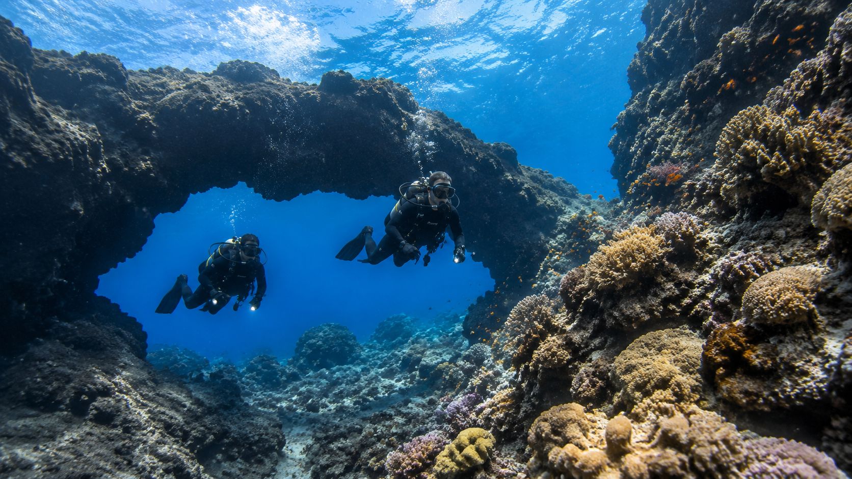 Two scuba divers swim through an underwater stone arch surrounded by coral reefs in the ocean.