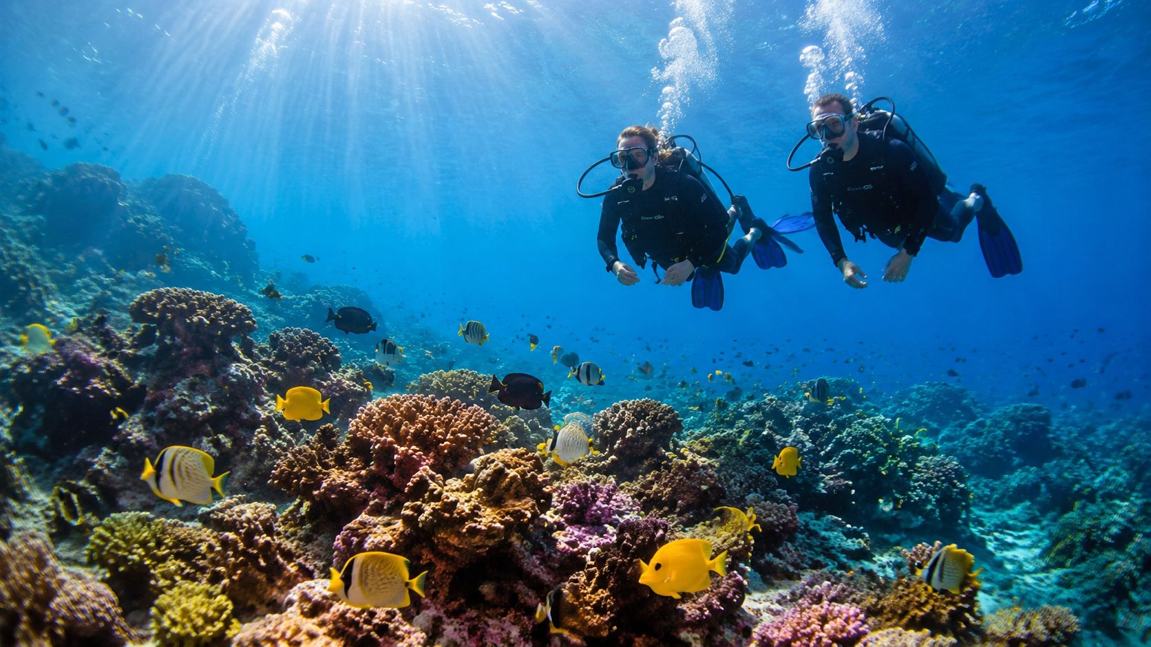 Two scuba divers swimming over a colorful coral reef surrounded by tropical fish in clear blue water