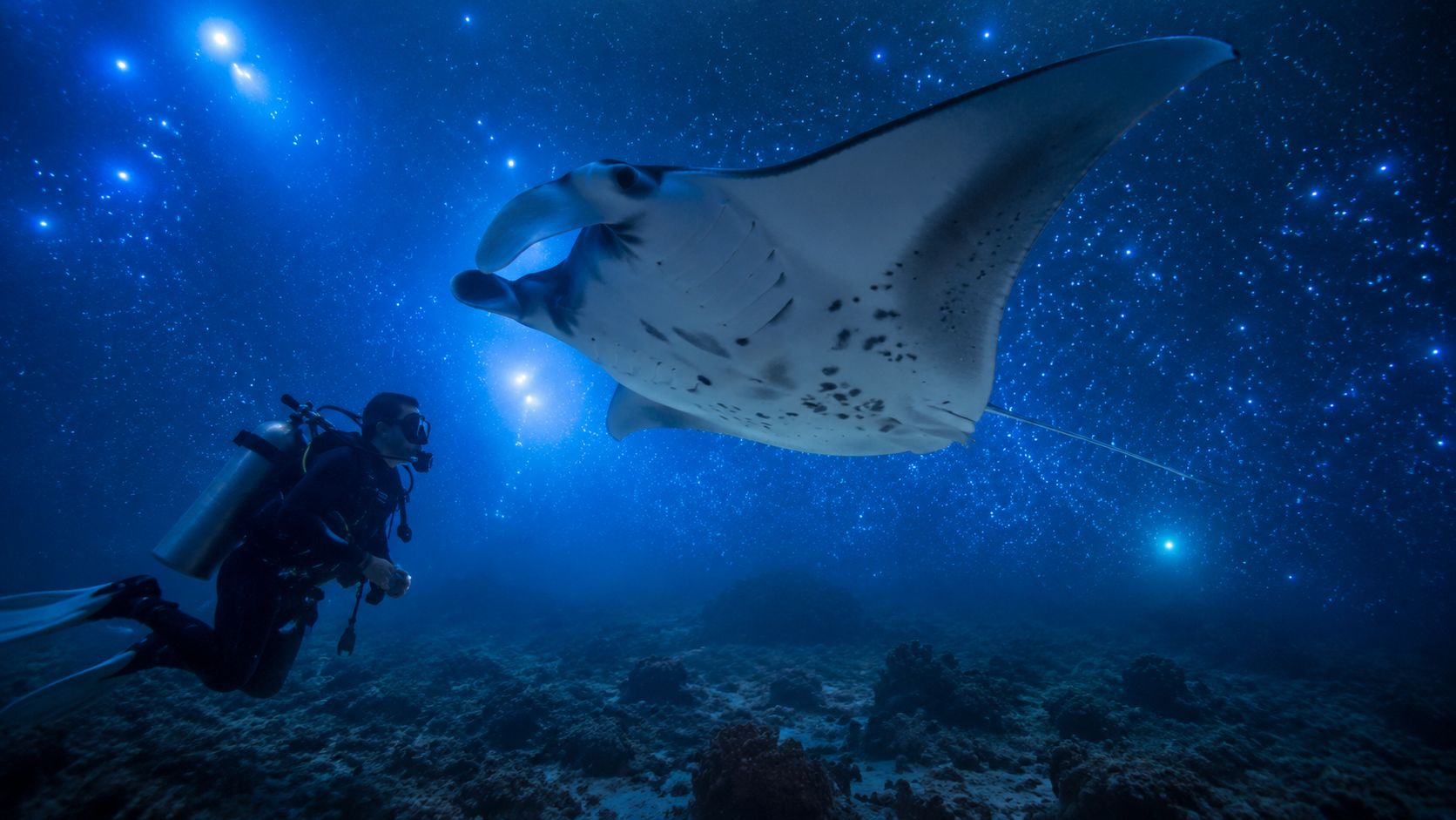 A scuba diver swims underwater near a giant manta ray against a backdrop of starry sky.