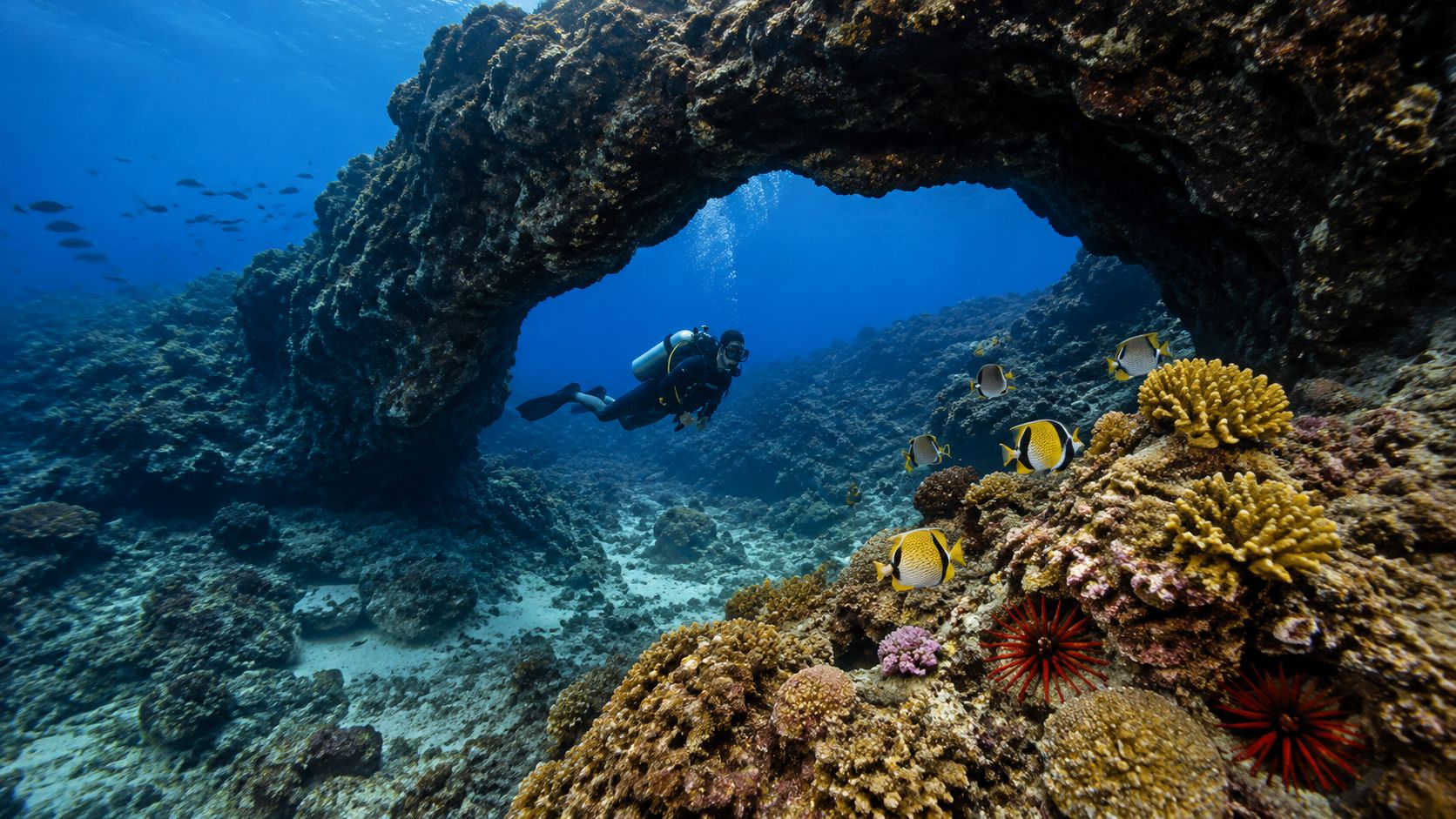 A scuba diver explores a stunning underwater rock archway surrounded by vibrant coral reefs and tropical fish.
