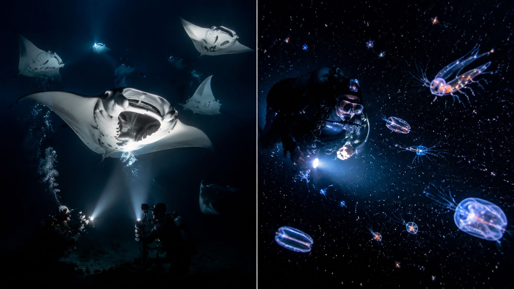 Scuba divers exploring underwater at night with manta rays and bioluminescent organisms in the deep ocean.