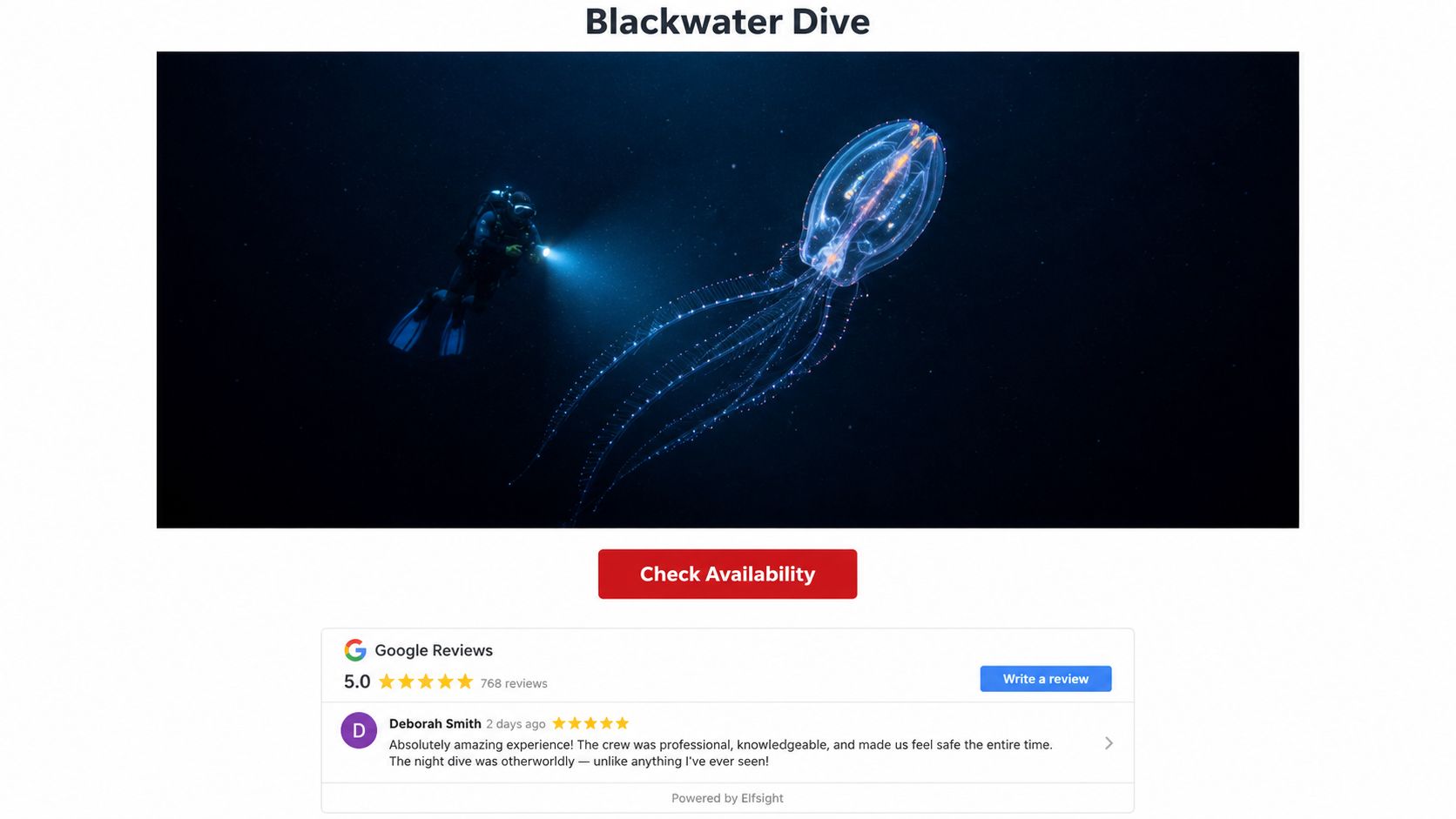 A scuba diver explores the deep ocean at night encountering a bioluminescent jellyfish during a Blackwater dive.