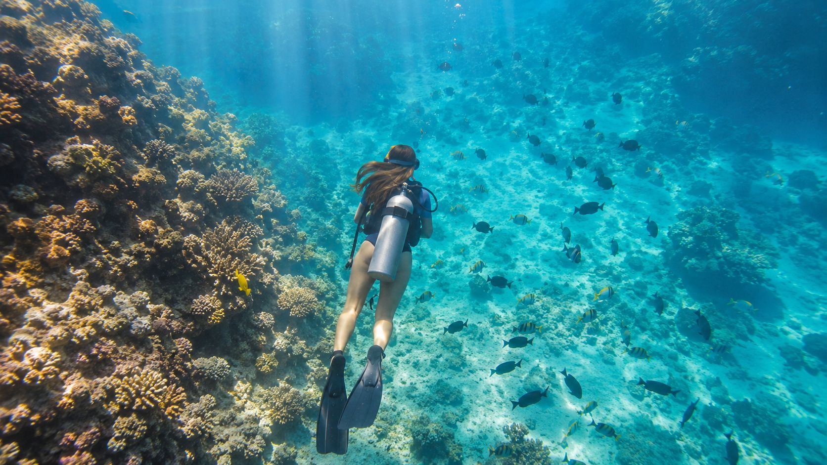 A woman scuba diving alongside a colorful coral reef teeming with tropical fish in clear blue water.