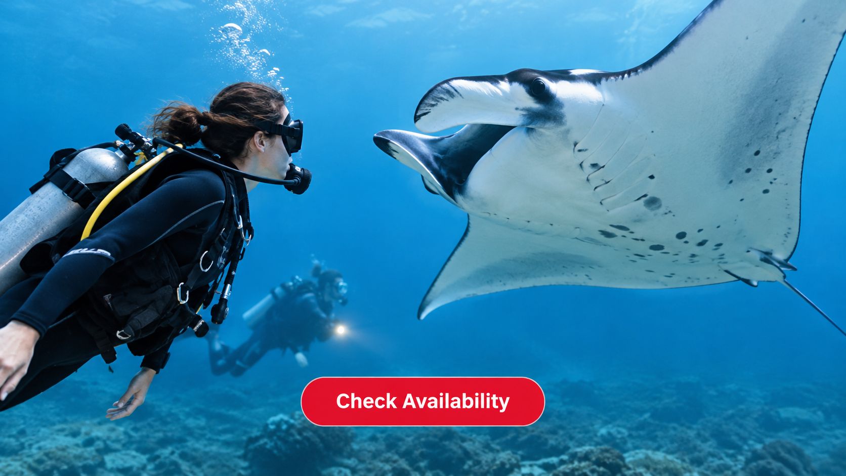 A scuba diver swimming closely with a large manta ray in the deep blue ocean waters.