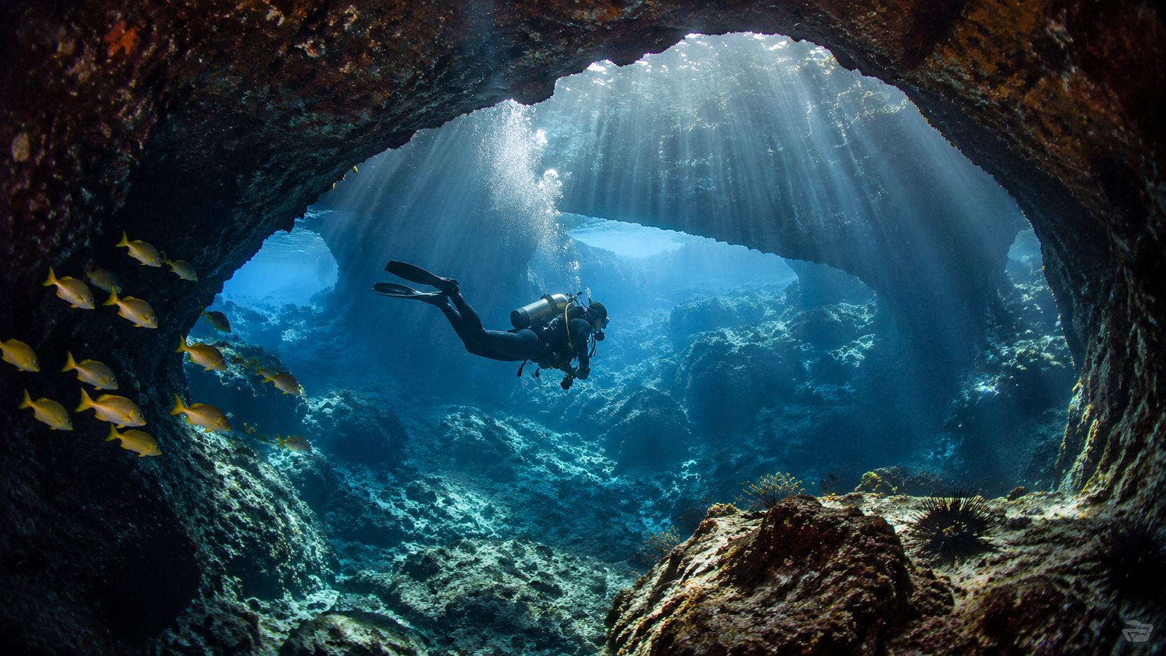 A scuba diver explores a stunning underwater volcanic lava tube in Hawaii with sunbeams piercing through.