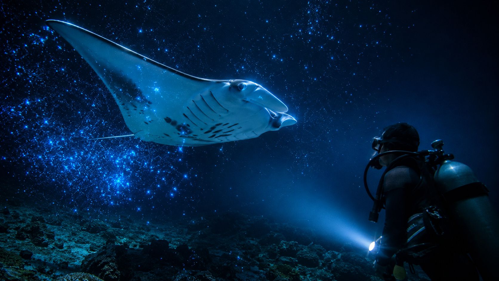 A scuba diver explores the dark ocean depths while encountering a large glowing manta ray underwater.