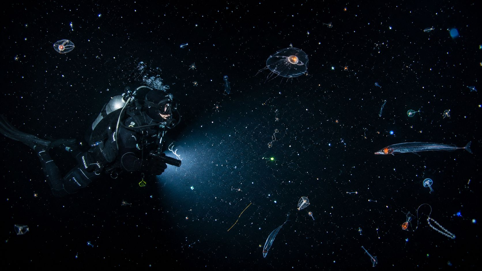 A scuba diver explores the dark ocean depths filled with glowing jellyfish and bioluminescent marine life.