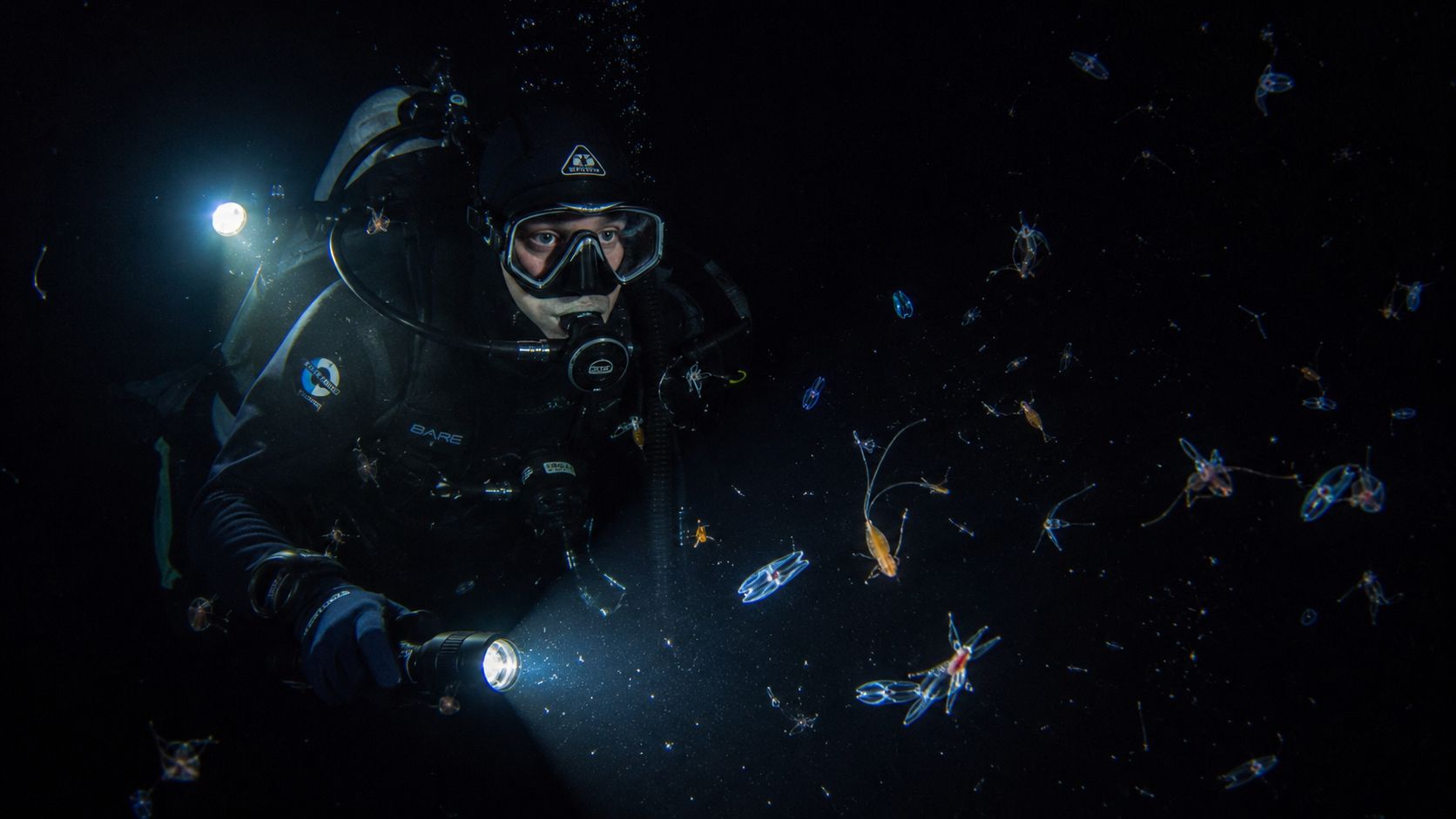 A scuba diver explores the deep dark ocean water at night with a flashlight, surrounded by marine life.
