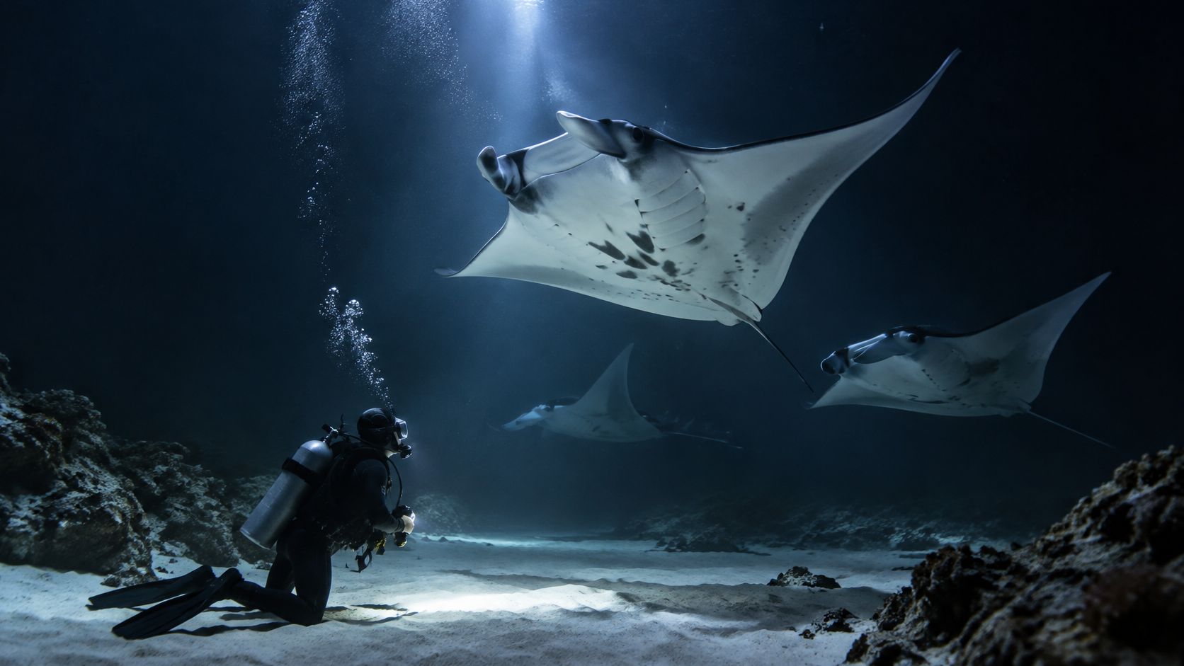 A scuba diver explores the dark ocean floor while three giant manta rays swim gracefully overhead.