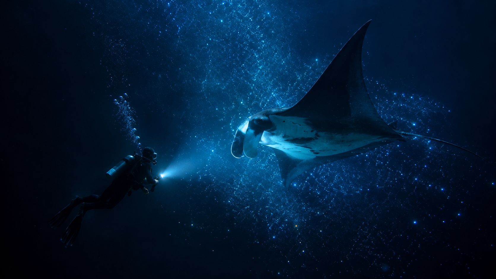 A scuba diver explores the deep ocean at night, shining a light on a majestic manta ray.