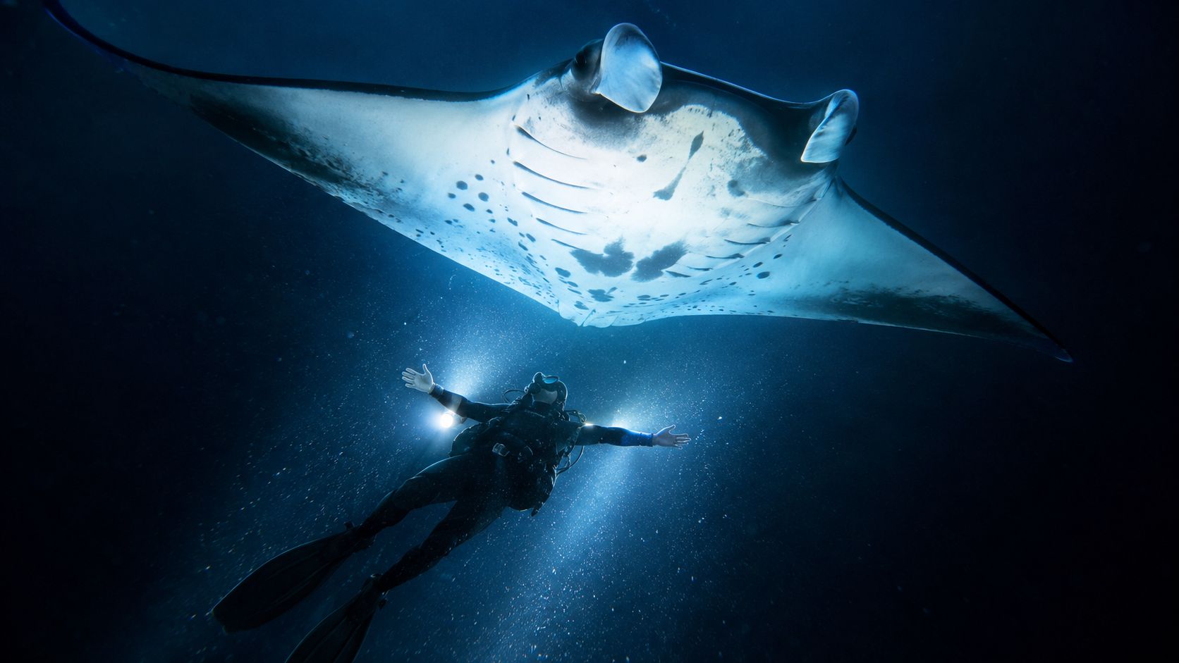 A scuba diver swimming with arms spread wide under a large manta ray during a night dive.