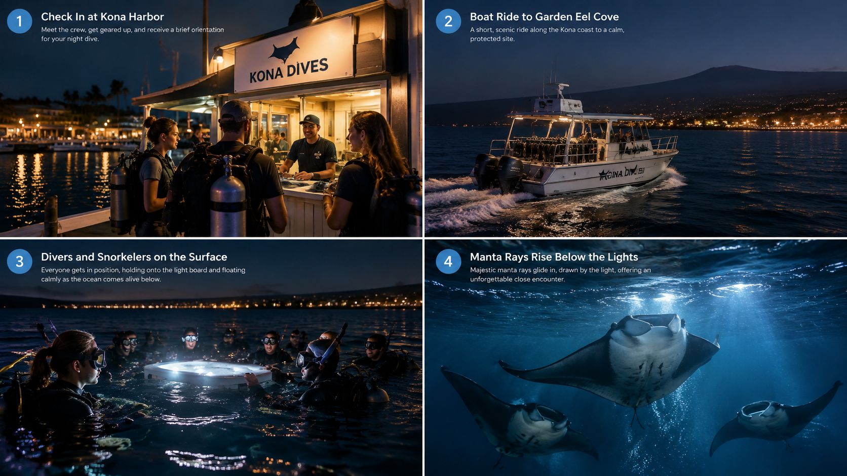 A four-step infographic illustrating the Kona Dives manta ray night snorkeling and diving experience in Hawaii.