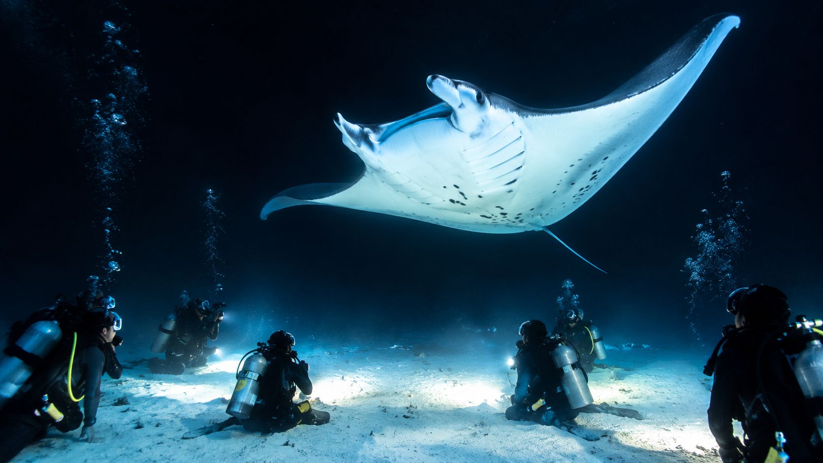 Scuba divers kneeling on the ocean floor to photograph a large manta ray in dark water.
