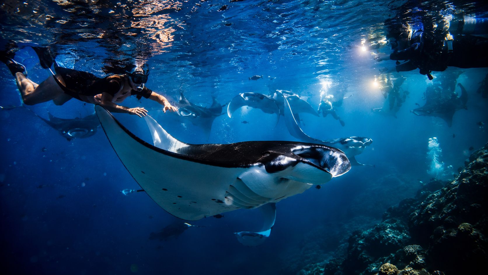 A scuba diver swimming gracefully alongside a majestic manta ray in the deep blue ocean waters.