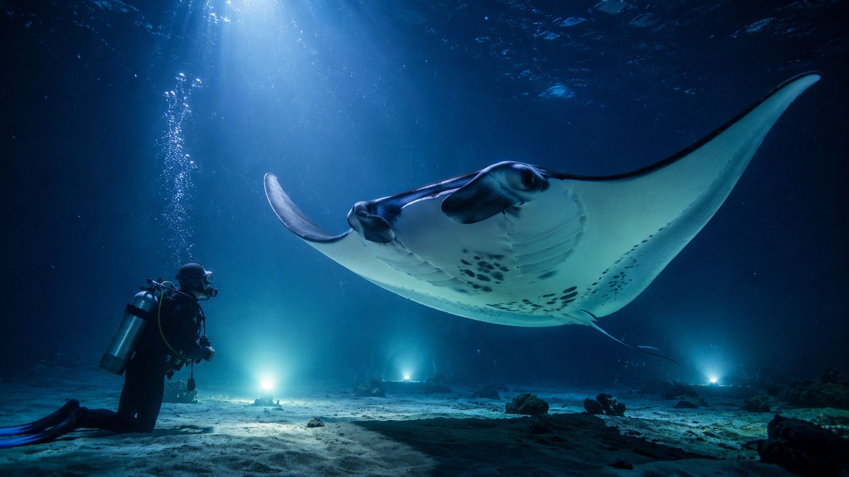 A scuba diver kneeling on the sandy ocean floor observes a large manta ray swimming above them.