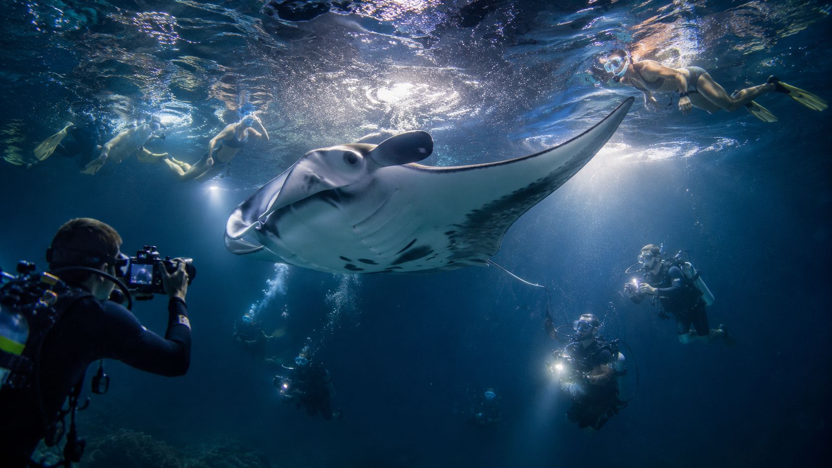 Scuba divers and snorkelers observing a large manta ray underwater during a guided dive in Hawaii.
