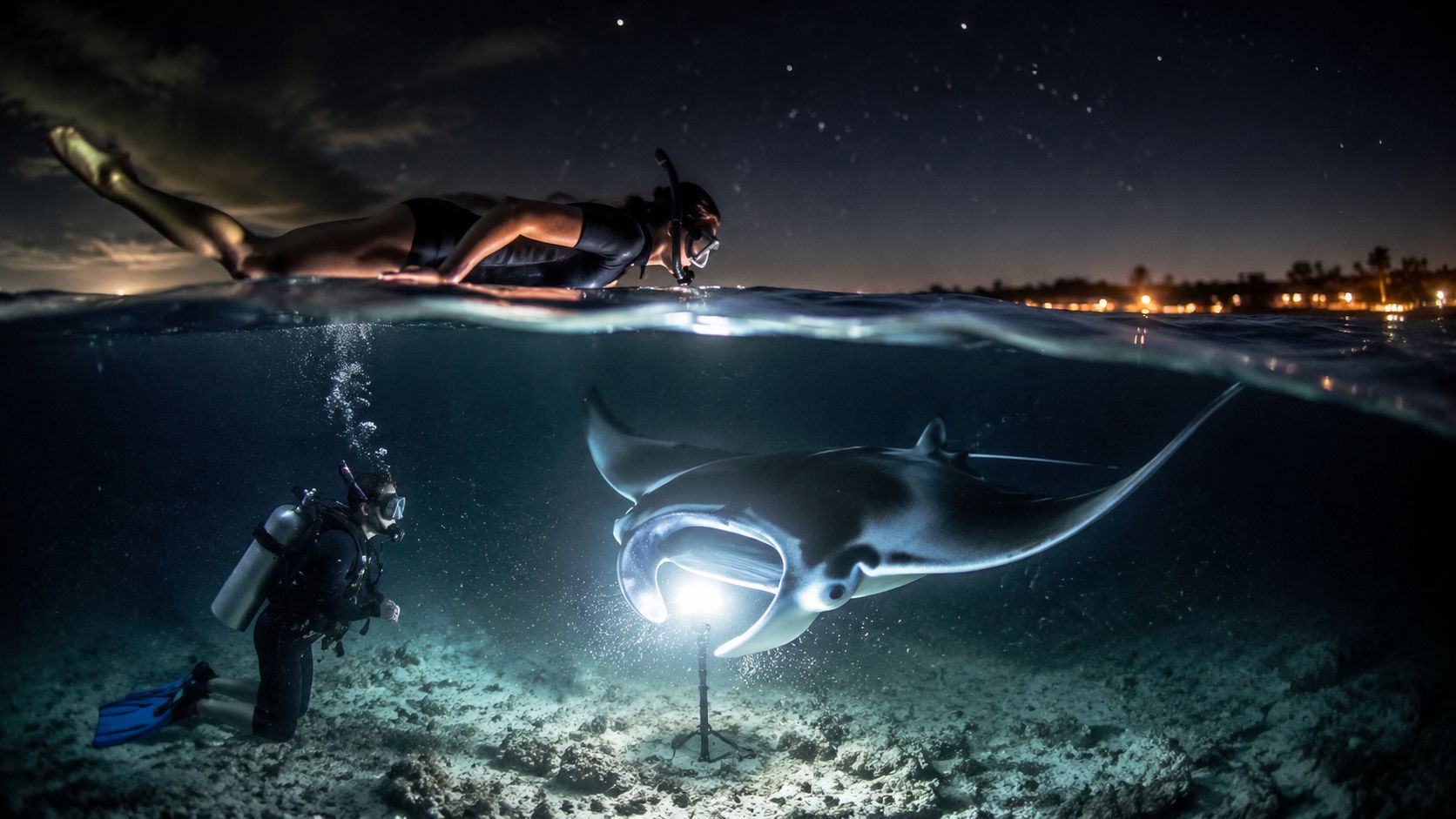 A scuba diver and a snorkeler observing a majestic manta ray underwater at night in Hawaii.
