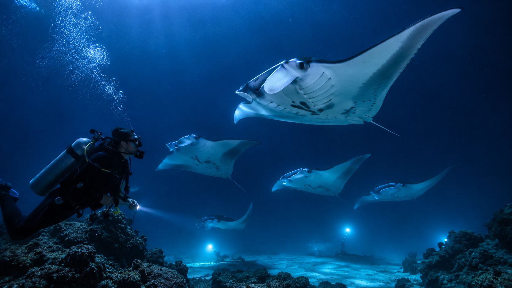 A scuba diver explores the deep ocean alongside a graceful group of giant manta rays underwater.
