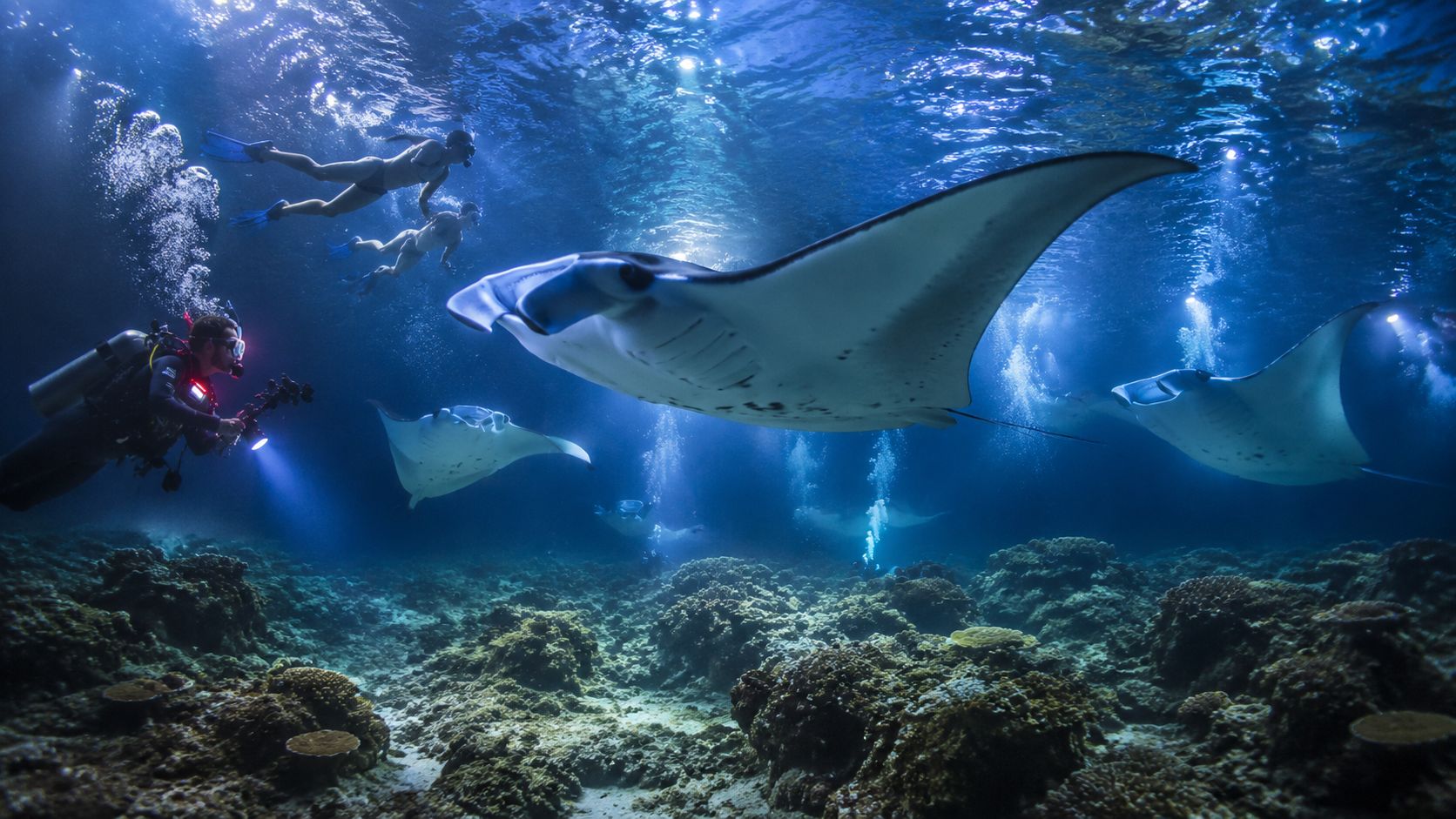 A scuba diver photographing graceful manta rays swimming near a coral reef with snorkelers above them.