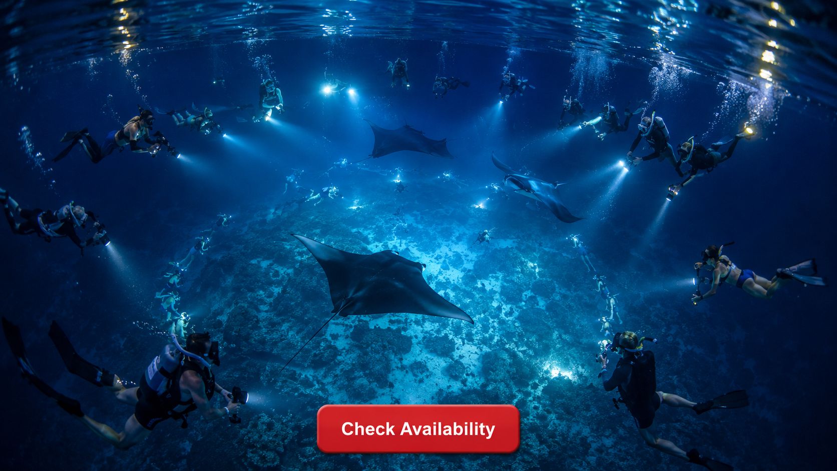 Scuba divers with flashlights swimming underwater around a manta ray in the deep blue ocean.