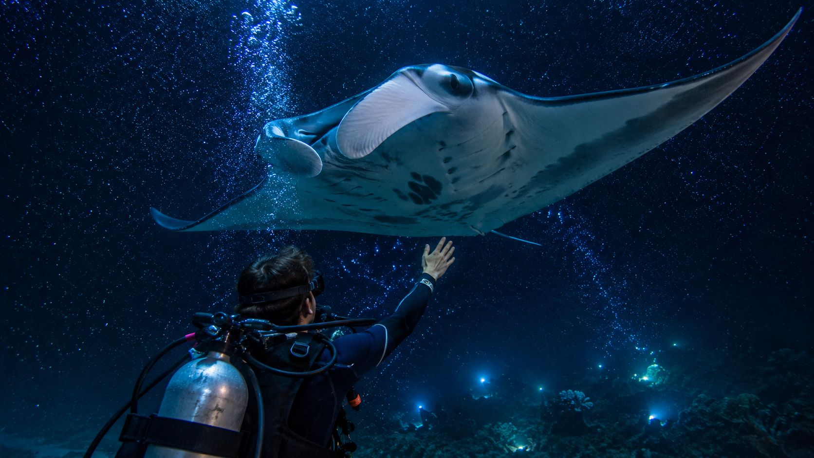 A scuba diver reaches out to touch a large manta ray gliding through the dark ocean waters.