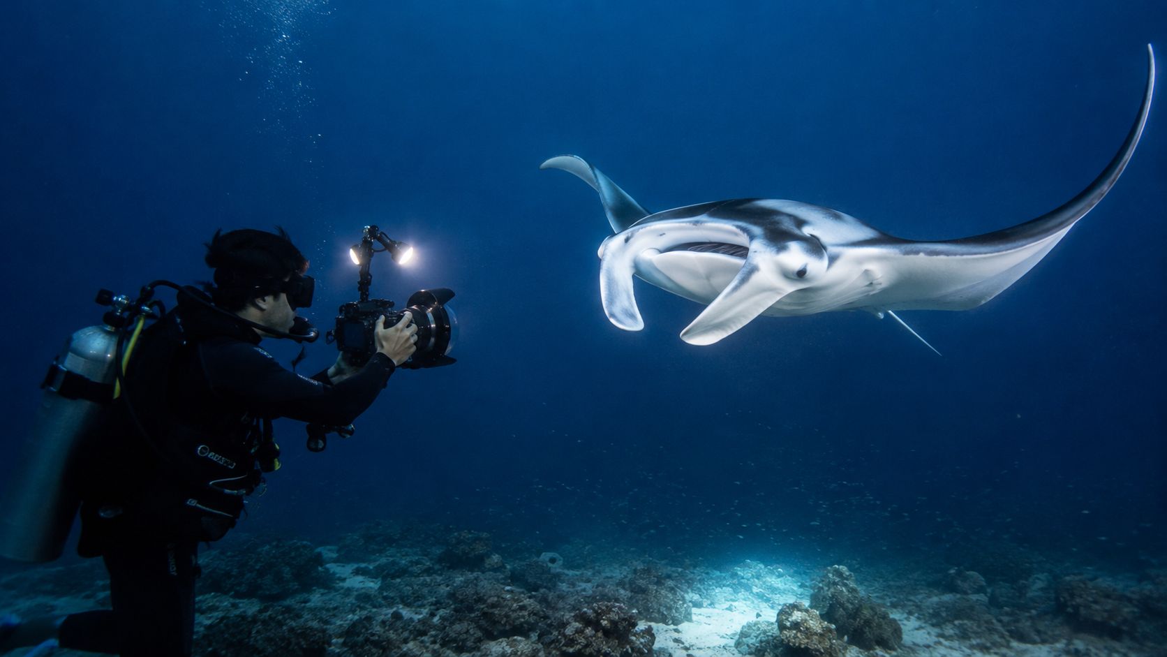 A scuba diver photographing a large, graceful manta ray gliding through the deep blue ocean waters.