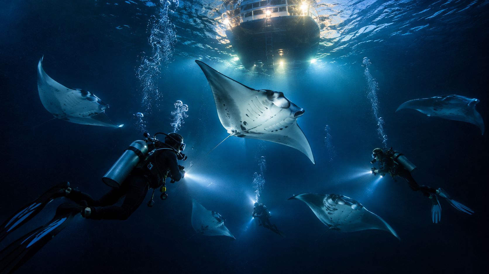 Scuba divers with flashlights encounter several majestic manta rays swimming under a boat at night.