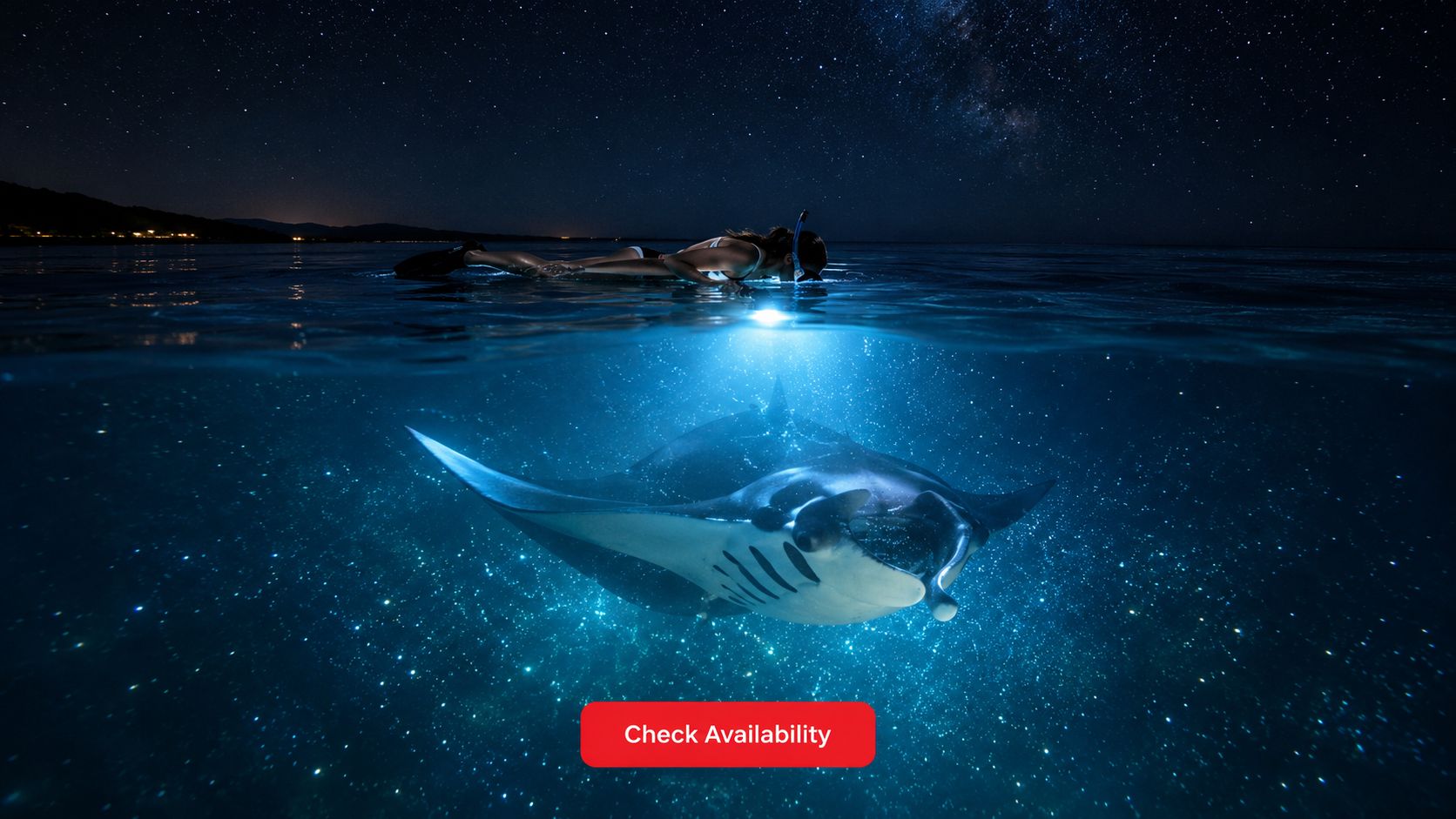 A snorkeler swims at night above a large manta ray illuminated in the glowing dark ocean water.