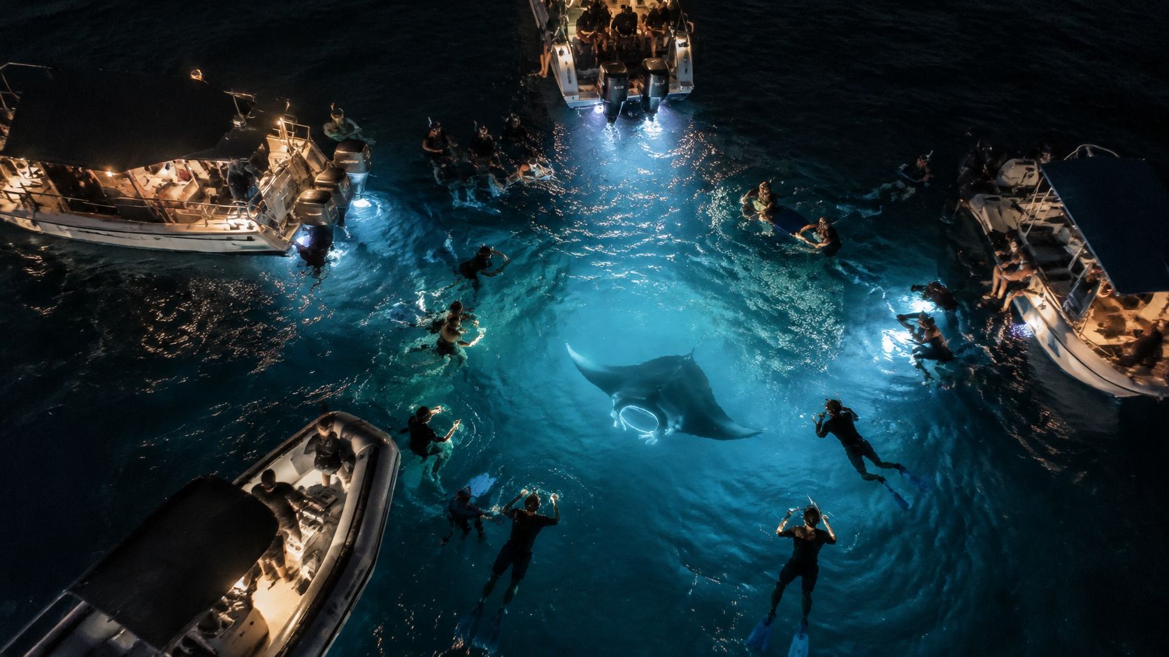 A high-angle view of snorkelers surrounding a large manta ray illuminated by underwater lights at night.