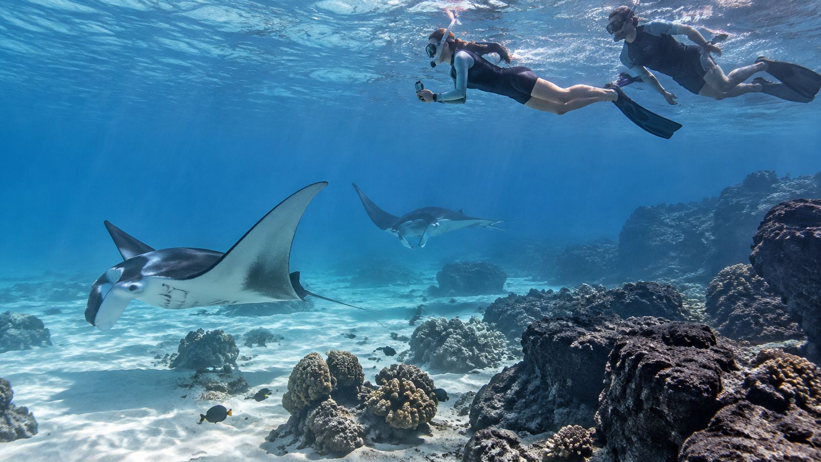 A woman and man snorkeling in clear tropical water alongside two graceful manta rays over coral reefs.