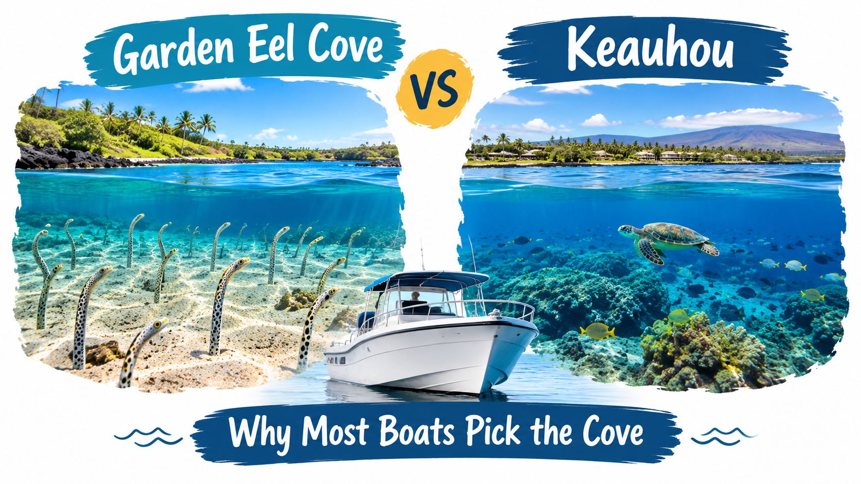 A comparison graphic between Garden Eel Cove and Keauhou highlighting popular snorkeling and boat tour destinations.