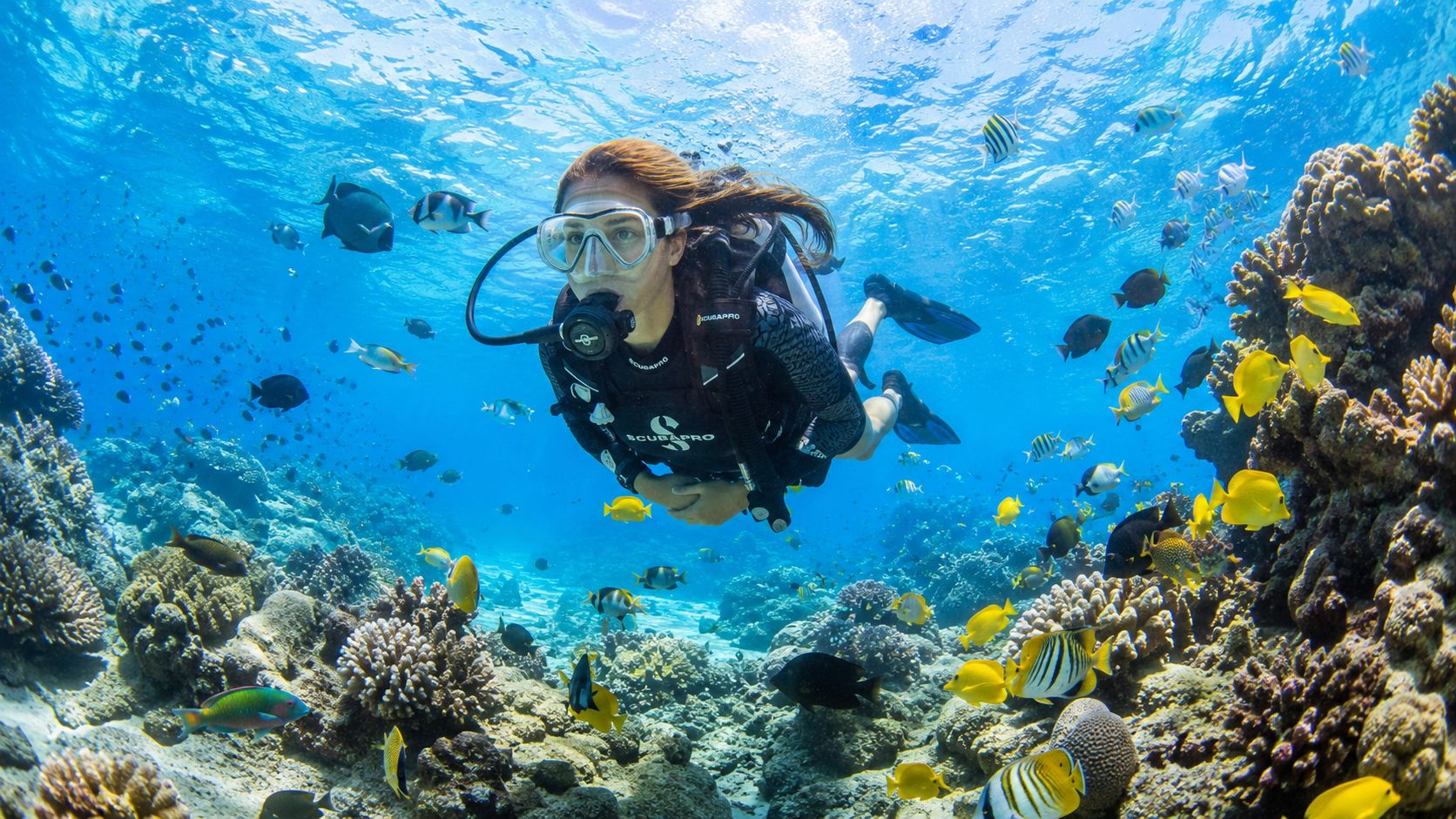 A scuba diver explores a vibrant coral reef teeming with colorful tropical fish in crystal clear water.