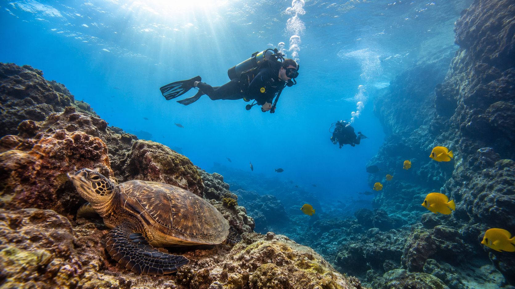Scuba divers swimming underwater near a coral reef with a sea turtle resting on rocks